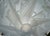 Opalescent French Art Deco Pendant Light by Hettier Et Vincent & Hanots 1930 France For Sale - Image 15 of 15