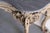Yates Haywood Cast Iron Console Table, Circa 1842 For Sale - Image 4 of 6