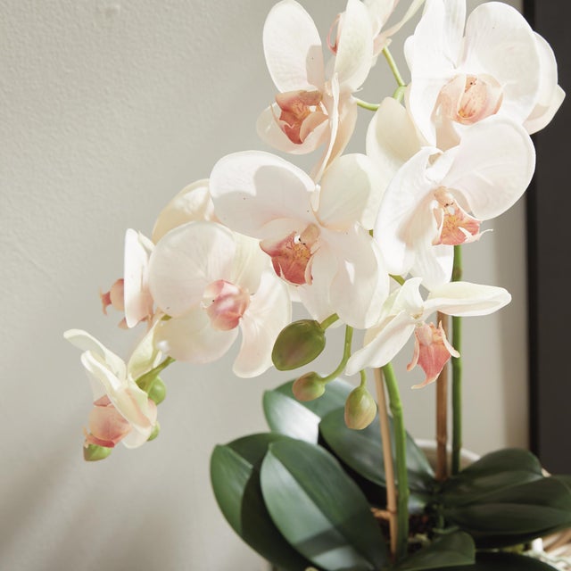 Kenneth Ludwig Chicago Phalaenopsis Orchid Drop-In 23" For Sale - Image 4 of 5