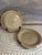 Mid 20th Century Mid 20th CenturyWedgwood Wedgwood of Etruria & Barlaston Nautilus Taupe Bone China Shell Plates -Set of 4 For Sale - Image 5 of 6