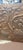 Large Vintage Classical Copper Wall Art For Sale In Philadelphia - Image 6 of 9