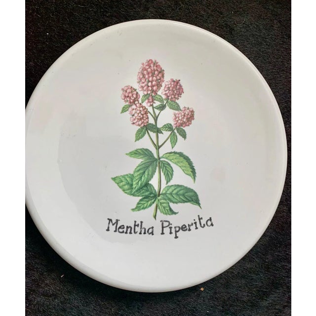 Get ready for your garden party with these stylish Italian salad / dessert plates! Set of six 2 pc each: Thimus Vulgaris...