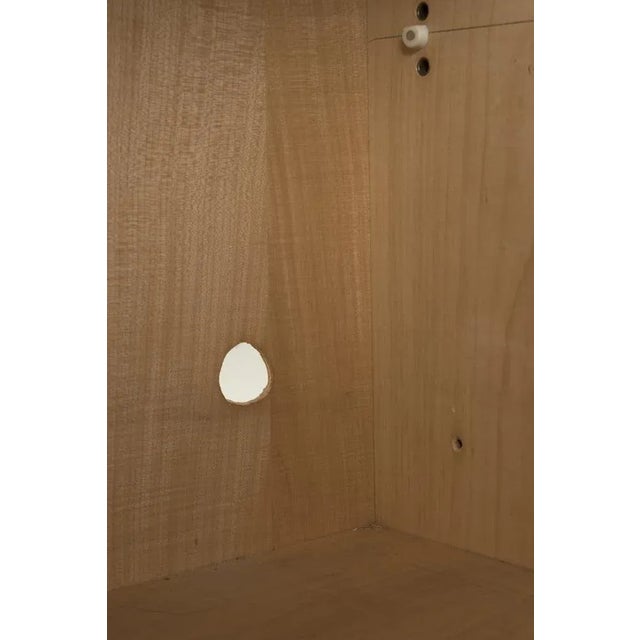 Wood Vintage Cabinet by Dieter Waeckerlin For Sale - Image 7 of 10