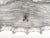 Large Ice Glass Chandelier by Kaiser Leuchten, 1970s For Sale - Image 15 of 18
