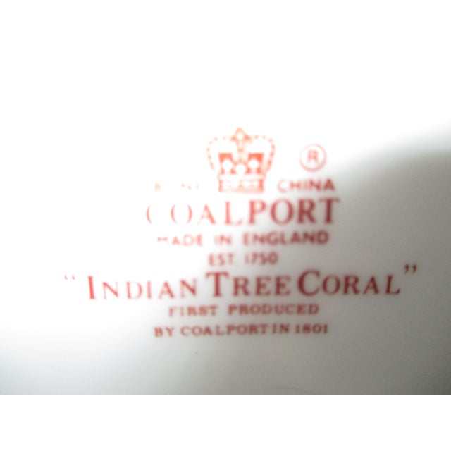 1970s Coalport "Indian Tree Coral" Scalloped Dinner Plate For Sale - Image 6 of 6