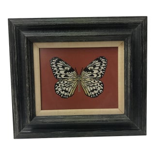 Vintage Framed Butterfly Tapestry on Rustic Black Frame For Sale