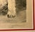 Realism 1920s Kurt Meyer-Eberhardt Signed Original Wire Fox Terrier Etching Framed For Sale - Image 3 of 5