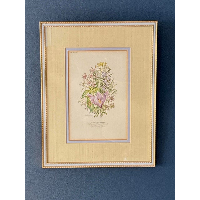 Vintage Botanical Print by Anne Ophelia Dowden For Sale - Image 10 of 10
