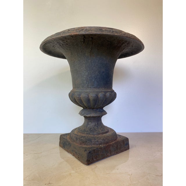 French Provincial Antique Cast Iron Campana Garden Urn, Egg-and-Dart Rim For Sale - Image 3 of 7