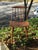 Wood 1970s Denmark 7341 Vintage Mid Century Teak Folke Palsson Farmhouse Chair, Wood and Stain Denmark 7341 For Sale - Image 7 of 10