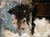 Salon by Matthew Saba | Oil on panel Portrait of a person with abstract background elements For Sale