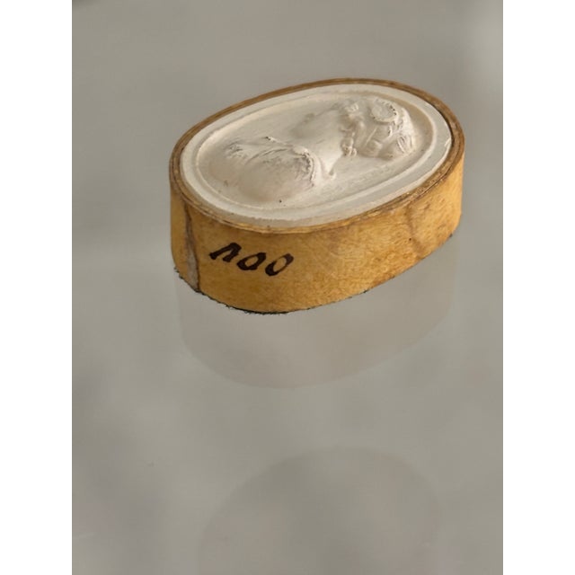 Early 19th Century Antique Italian Grand Tour Plaster Intaglios - Set of 5 (Group #3) For Sale - Image 5 of 16