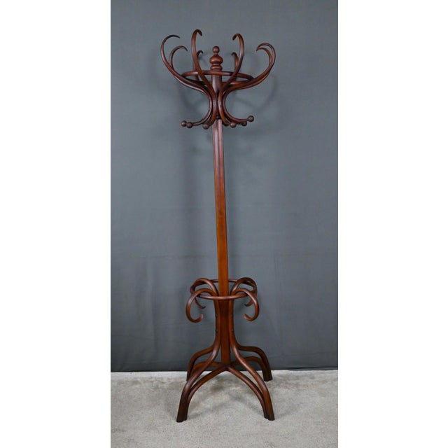 Large Early 20th Century Parrot Coat Rack in Bent Beechwood in the style of Thonet For Sale - Image 16 of 18