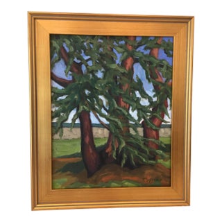 “Evergreen” Contemporary Framed Landscape Oil Painting by Teresa DiMarco For Sale