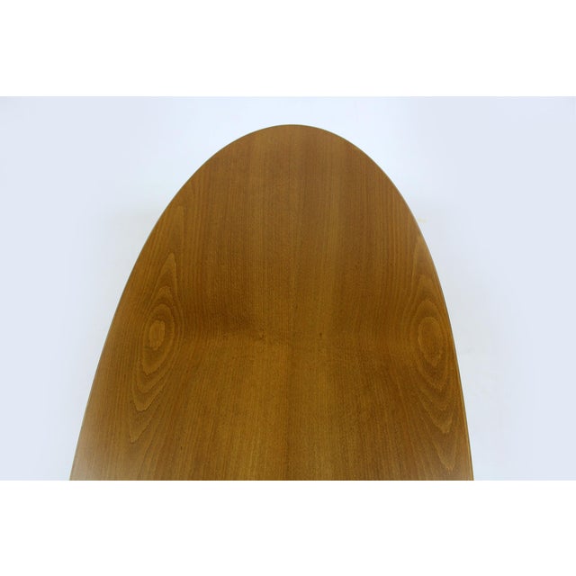 Mid-Century Modern Oval Ash Tulip Coffee Table from Drevotvar Jablonné Nad Orlicí, 1960s For Sale - Image 4 of 13