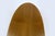 Mid-Century Modern Oval Ash Tulip Coffee Table from Drevotvar Jablonné Nad Orlicí, 1960s For Sale - Image 4 of 13