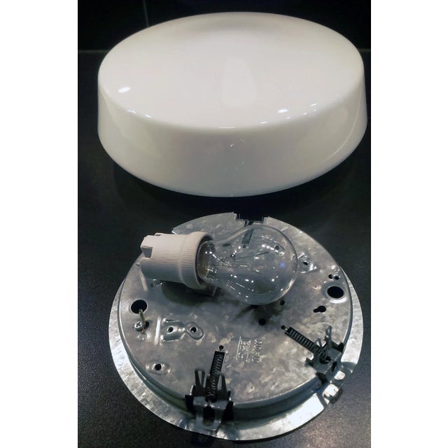 Opal Glass Ceiling or Wall Lamps from RZB Rudolf Zimmermann Bamberg, 1950s, Set of 6 For Sale - Image 10 of 13