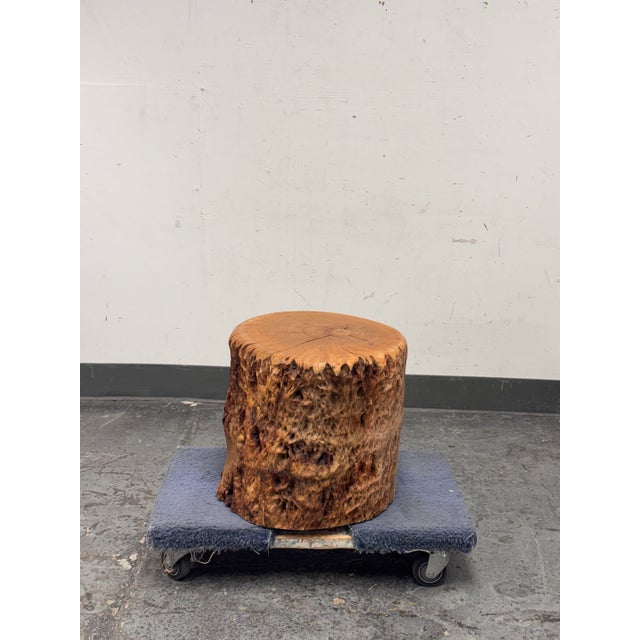 Design Plus Gallery presents a Round Live Edge Tree Side Table. Cut from a solid section of tree trunk, this piece...
