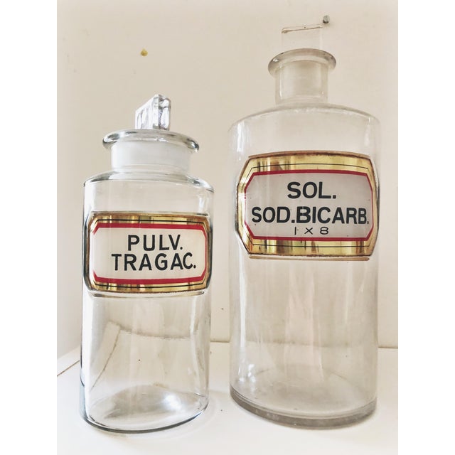 Late 19th Century Antique English Apothecary Jars- Set of 8 | Chairish