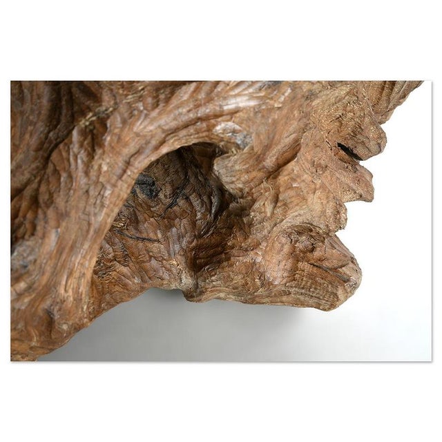 Carved Teak Root Sculpture For Sale - Image 6 of 8