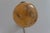 Italian Art Nouveau Glass and Brass Moon Wall Light, 1920s For Sale - Image 17 of 18