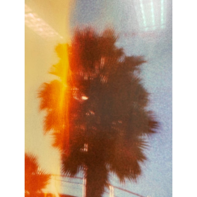 Photography Stephanie Schneider Crossfire (Californication) Print, Framed For Sale - Image 7 of 12