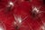 Animal Skin Vintage Tufted Leather Chesterfield Armchair in Burgundy by Hancock & Moore For Sale - Image 7 of 9