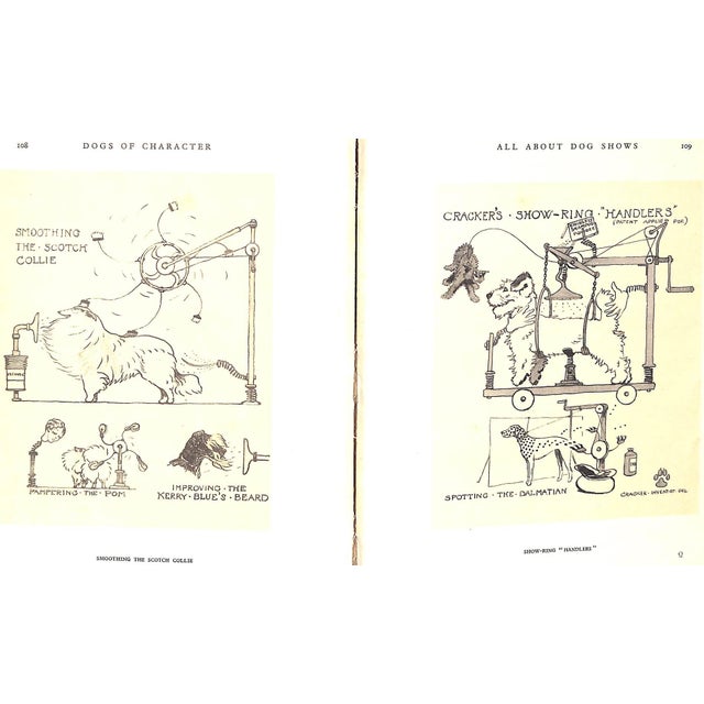 "Dogs of Character" Book 1927 Aldin, Cecil For Sale - Image 9 of 12