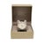 Breitling B-Two 44mm A42362 White Dial Chronograph Steel Watch For Sale - Image 9 of 10