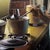 Realism Late Supper by Russell Harris | Oil on linen Woman cooking in a kitchen at night. For Sale - Image 3 of 5