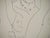 Henri Matisse, Mariée et son jupon, Nude, Lithograph For Sale - Image 5 of 7