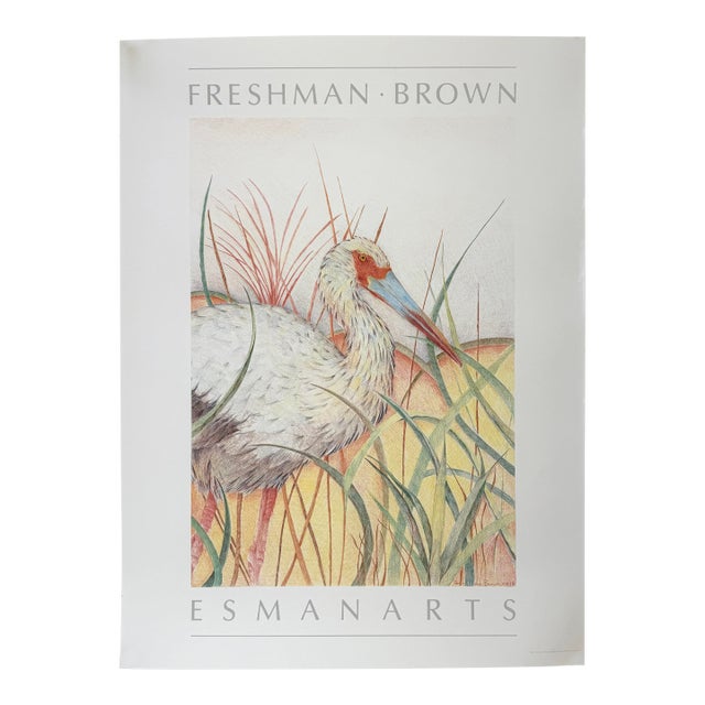 1984, White Ibis, Offset Lithography Print, Artist Louise Freshman Brown For Sale