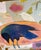 “Crow Rules” a Fun Bird Painting by LWren Walraven For Sale - Image 9 of 14