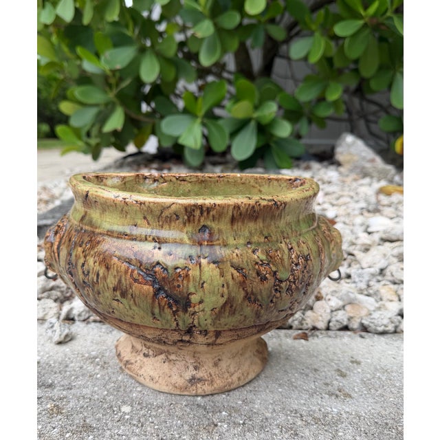 A striking handcrafted pottery wall planter featuring a sculptural half-round form accented by stylized lion heads with...