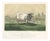 Emilie, Durham Shorthorn Cow of Corbon, 1873, Paper For Sale