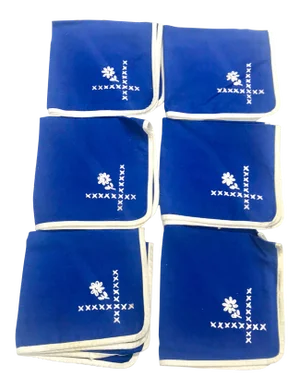 Vintage Handmade Blue and White Embroidered Napkins - Set of 6