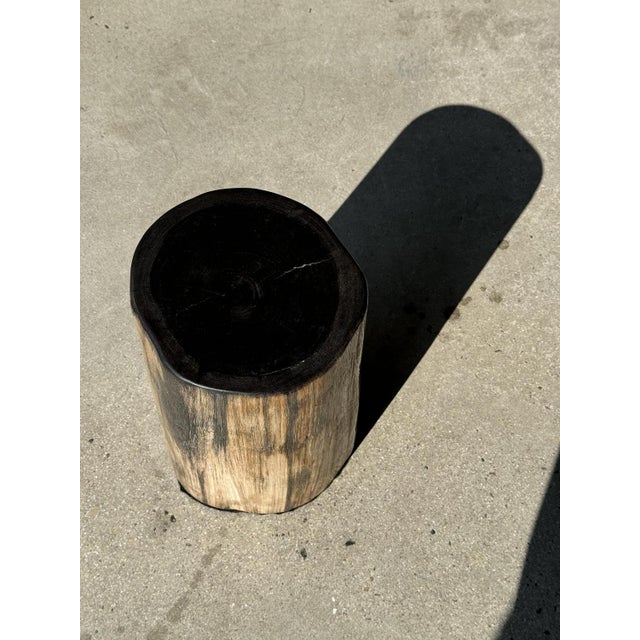 Petrified Wood Side Table with Black Heart For Sale - Image 9 of 18