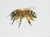 Juris Utans, Bee at Rest III, 2021, Mixed Media and Paper For Sale - Image 3 of 3
