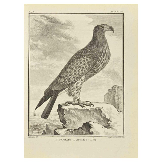 Madeleine Rousselet, LOrfraie, Etching, 1771 For Sale - Image 3 of 3