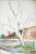 Realism 875 Joseph Yeager "Hillside Trees" Realism Landscape Watercolor on PaperCirca 1940s-1950s For Sale - Image 3 of 3