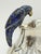 1970s Los Castillo Taxco Silver Plate & Lapis Parrot Pitcher For Sale - Image 13 of 18