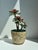 A poetic ceramic planter from the 1960s, designed by the Dutch ceramic artist Pieter Groeneveldt (1889-1982). This...