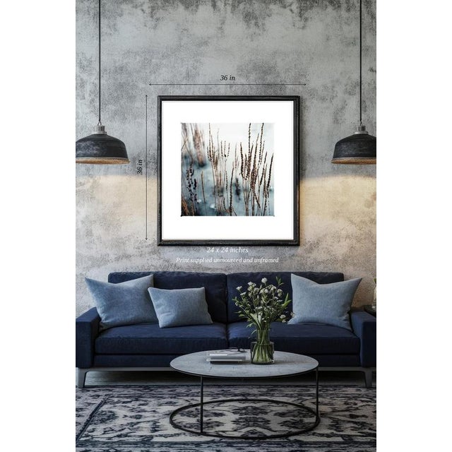 Fine art Giclee prints on Hahnemuhle Photo Rag 308gsm - a 100% cotton, acid-free, mould-made paper. Printed to Fine Art...