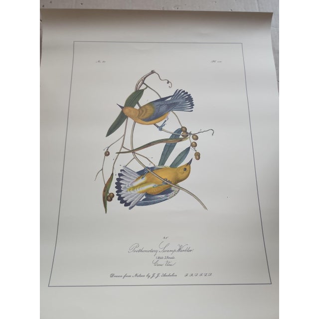 Mid 20th Century Mid Century Audubon's Birds of America Trident Press Prints - Set of Four For Sale - Image 5 of 5