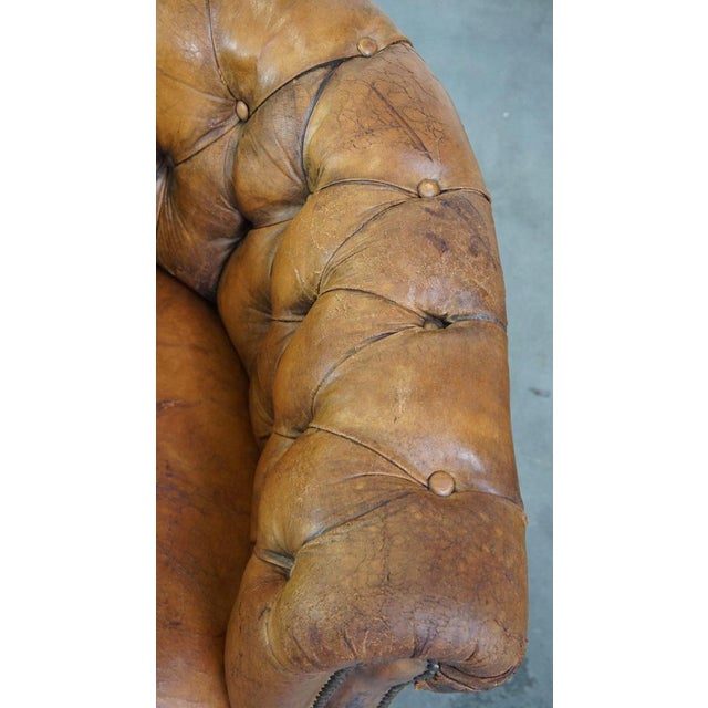 Brown Antique Chesterfield Club Chair in Sheepskin For Sale - Image 8 of 15