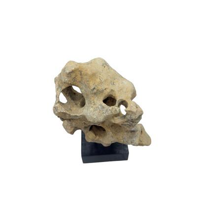 2010s Indonesian Coral Stone On Teak Stand For Sale - Image 5 of 5