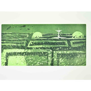 Edolo Masci, Garden, 1980s, Etching For Sale