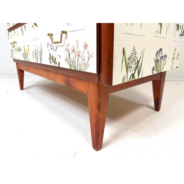 1950's Swedish Cabinet With Nordens Flora Illustrations For Sale In Boston - Image 6 of 12
