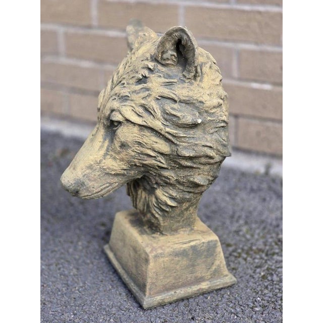 English Cast Stone Wolf Head Bust For Sale - Image 14 of 17