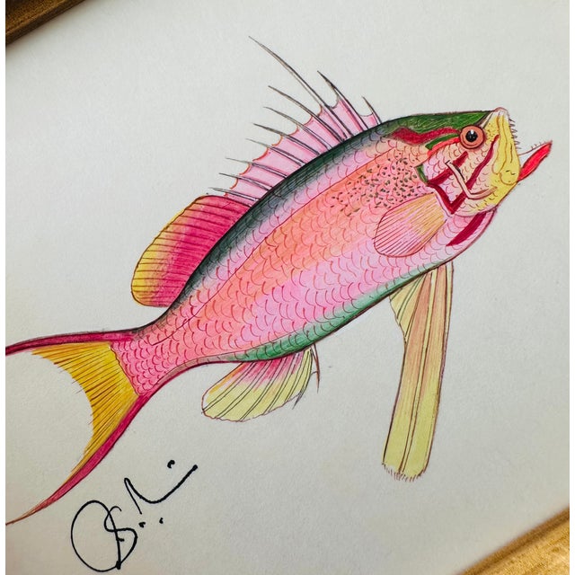 Original Miniature Hand-Painted Pink Fish Painting in Faux Bamboo Frame ...